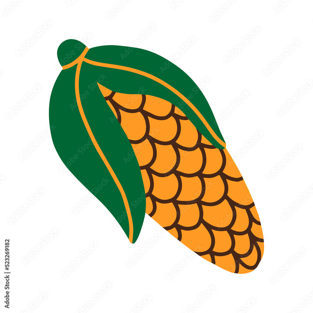Corn Corn