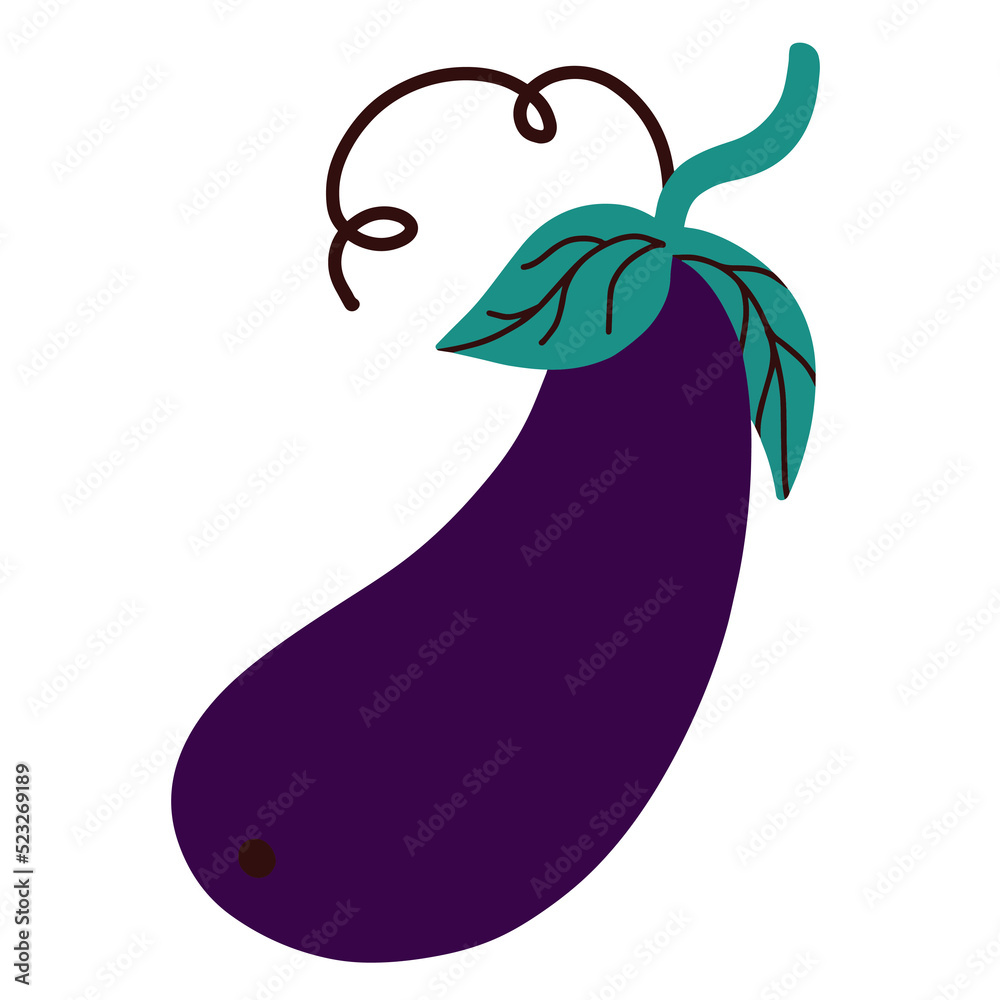 eggplant isolated . aubergine vegetable. eggplant isolated . aubergine vegetable.