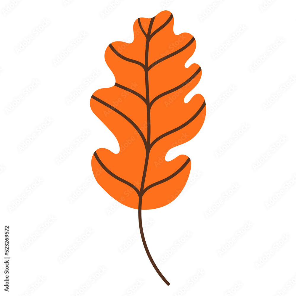 Obraz premium leaf isolated on white