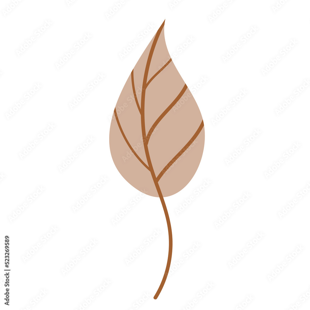 leaf isolated on white background leaf isolated on white background