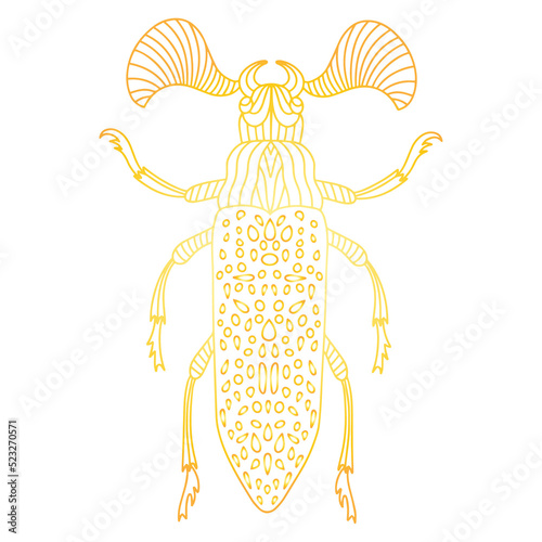 Golden insect in linear style 