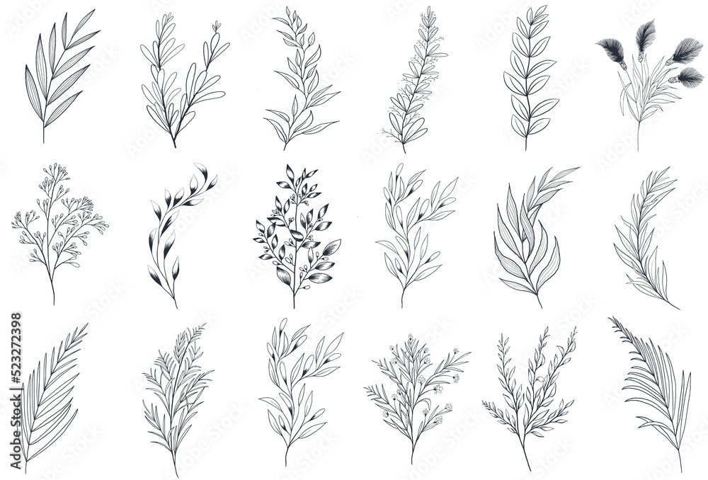 Hand drawn floral herbs set elements