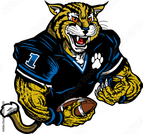 muscular bobcat or wildcat mascot player holding football for school, college or league