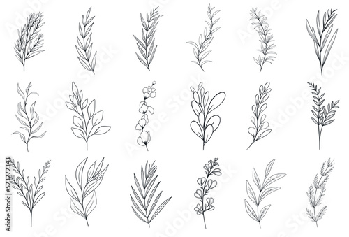 Hand drawn floral herbs set elements