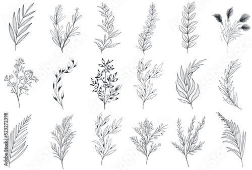 Hand drawn floral herbs set elements