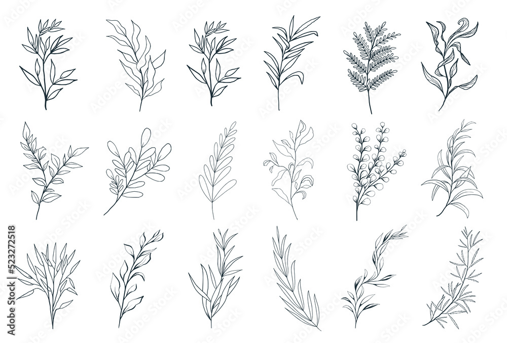 Naklejka premium Hand drawn floral herbs set elements