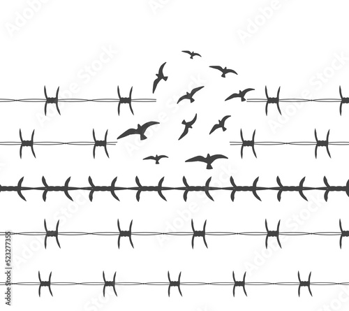 Concept of Freedom. Birds flying through barbed wire showing sign of Freedom. Barbed wire showing sign of restrictions of freedom and rights. Birds flying freely through barbed wire. photo