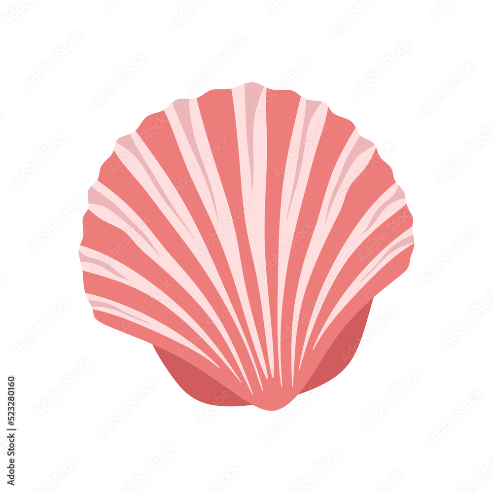 Sea shell, scallop. Marine undersea mollusc, clam of fan shape