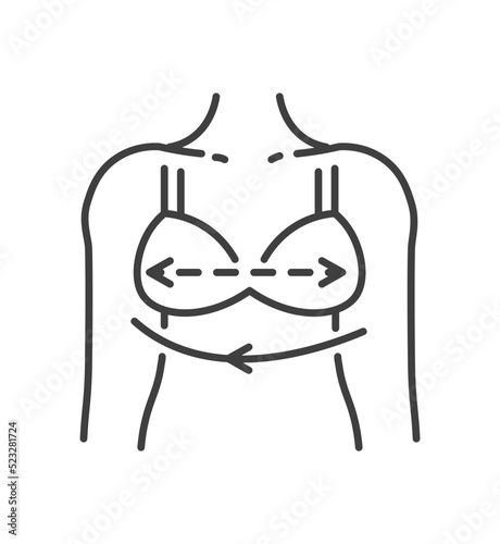Dimensions of women bra, breast measurement vector
