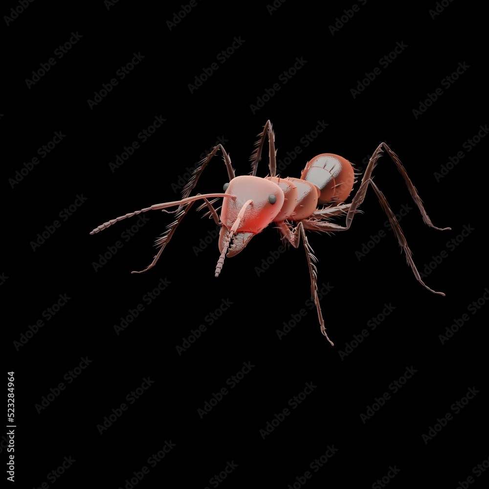 Naklejka premium 3d computer rendered illustration of a red ant isolated on a solid color