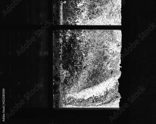 window in the window