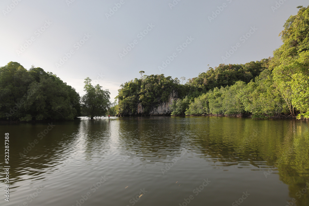 Camara shake hating wave riding gliding floating flying over sea water mangrove forest on speedboat Camara shake hating wave riding gliding floating flying over sea water mangrove forest on speedboat