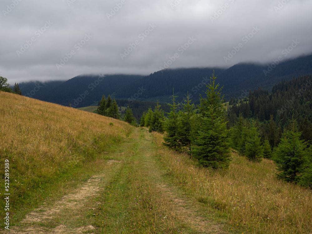 Beautiful nature of the Carpathian mountains and hills in summer cloudy day. Road in the mountains. Landscape with hills and forest. Ukraine.