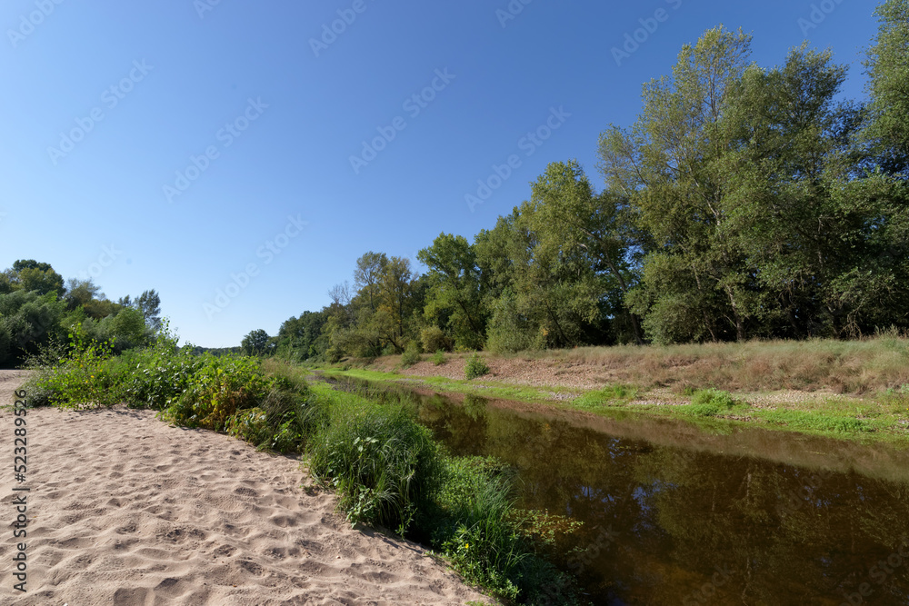 Mahyses island protected natural area in the Loire Valley near Saint-Benoist-sur-Loire village