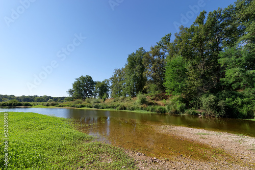 The dry bed of the Loire River near  Mahyses island protected natural area