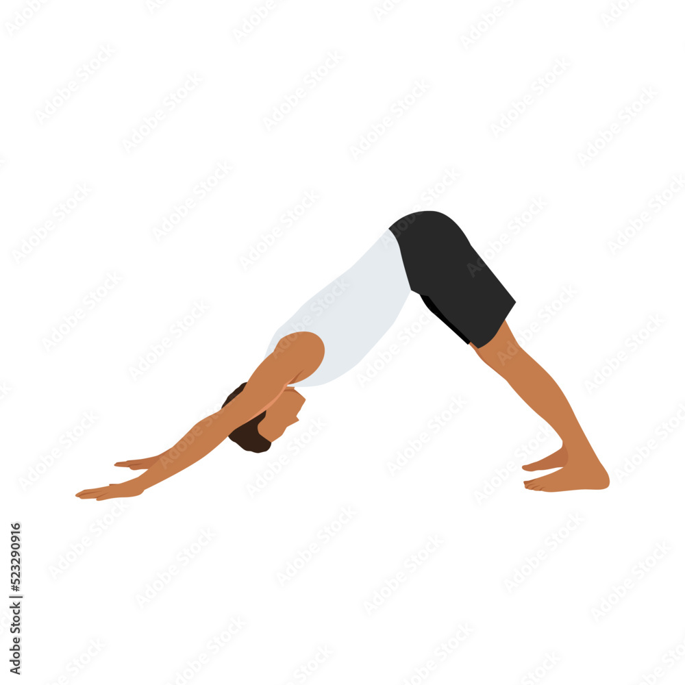 Man doing Adho mukha svanasana or downward facing dog yoga pose,vector illustration in trendy style Man doing Adho mukha svanasana or downward facing dog yoga pose,vector illustration in trendy style