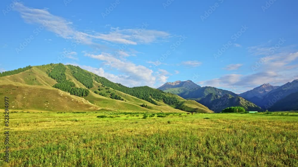 Beautiful grassland natural landscape in Xinjiang at sunset, China. Beautiful grassland natural landscape in Xinjiang at sunset, China.