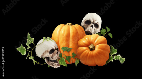 Two large orange pumpkins w...