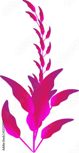 Purple flower plants ornate nature leaf botany decorative backgrounds illustration