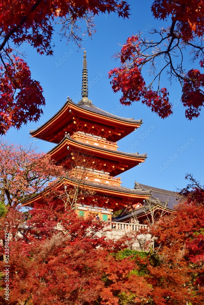 京都の秋 紅葉の清水寺 京都の秋 紅葉の清水寺