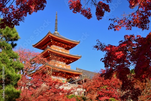 京都の秋 紅葉の清水寺
