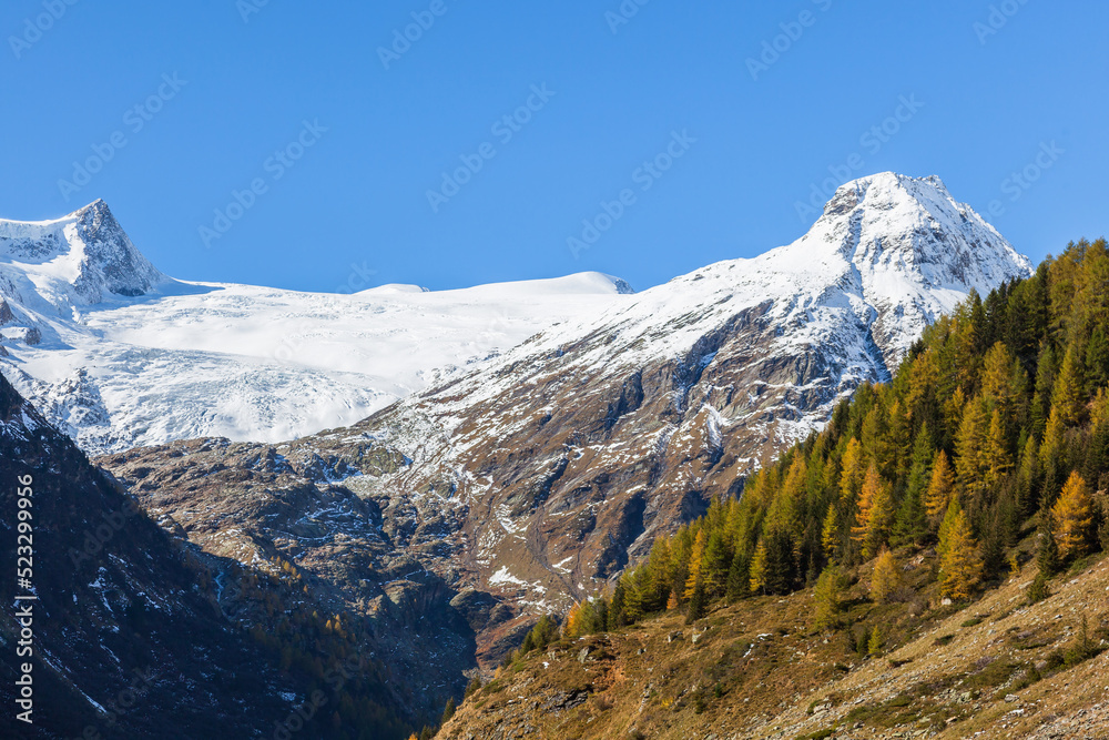 Autumn colors at the forest by a snow capped mountain peak