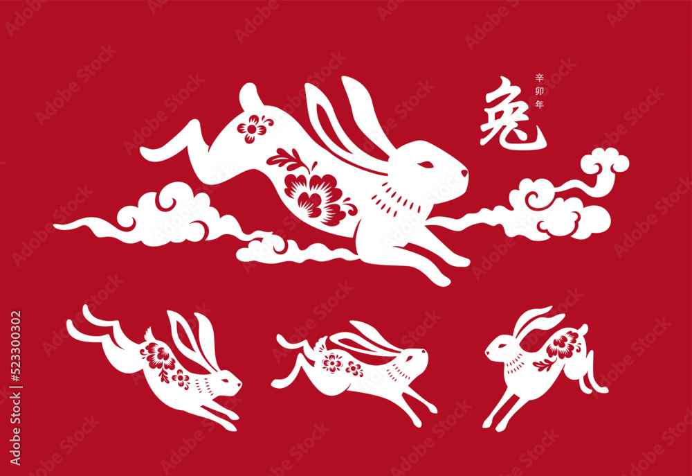 Chinese Lunar New Year rabbit isolated icons with vector animals