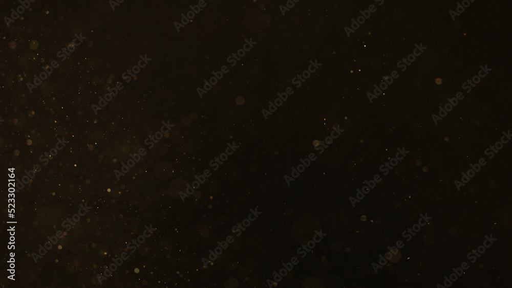 Obraz premium real dust particles floating over black background