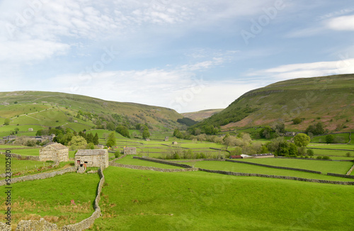 Obraz na płótnie View over Swaledale from path above Reeth in Yorkshire Dales w salonie