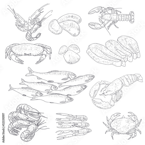 Vector vintage sketch seafood, hand drawn seafood delicacy, restaurant and marine cuisine cafe menu, packaging design.