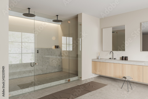 Light bathroom interior with sink and douche  bath accessories