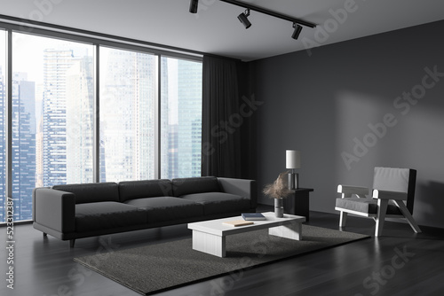 Corner view on dark living room interior with grey wall