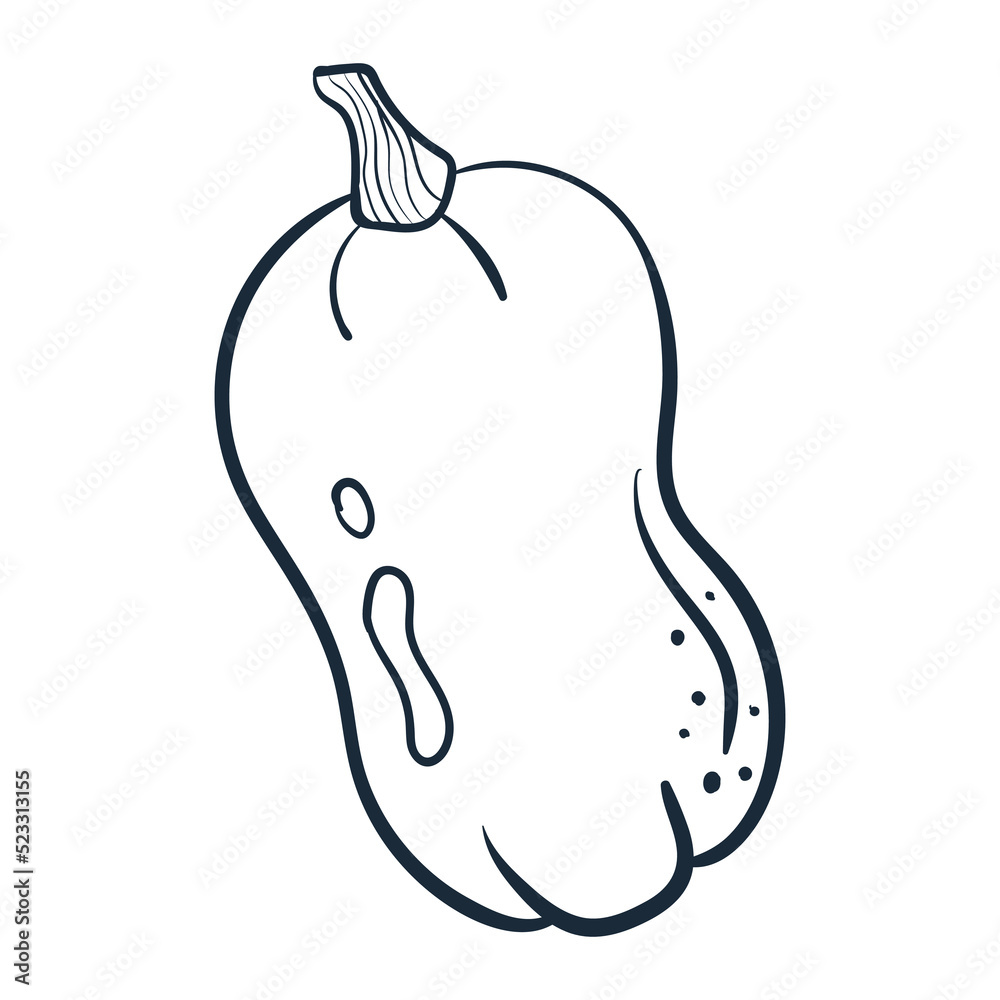 Pumpkin line art . Vector illustration with doodles on the theme of cozy autumn.A cute element for greeting cards, posters, stickers and seasonal design. Isolated on a white background. Pumpkin line art . Vector illustration with doodles on the theme of cozy autumn.A cute element for greeting cards, posters, stickers and seasonal design. Isolated on a white background.
