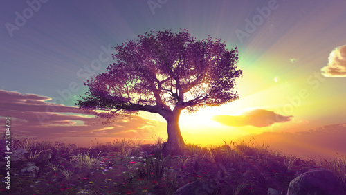 tree spring in meadow sunset © aleksandar nakovski