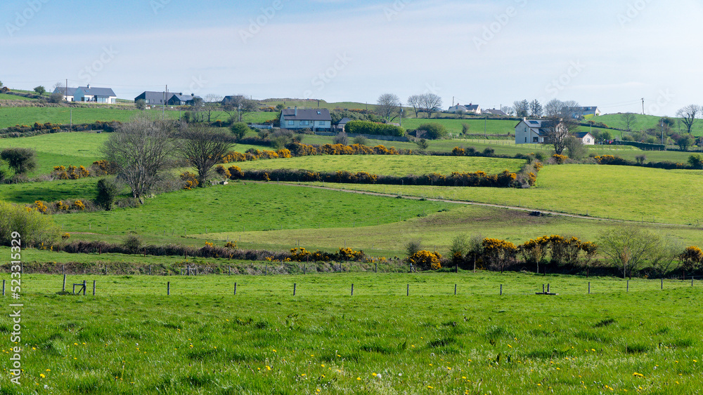 A small farming village among the green Irish hills. Pastoral European landscape. Green farm fields on a sunny day. Natural Beauty of Ireland, West Cork. Green grass field under blue sky