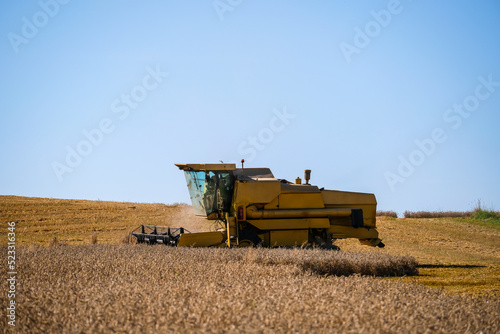 Combine harvester harvests ripe wheat. Agriculture. Selective focus