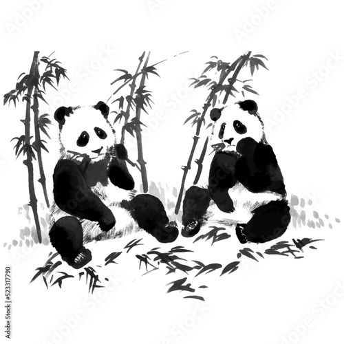 Hand drawn watercolor vector of panda and bamboo.