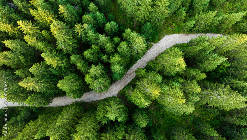 View from above, stunning aerial view of a beautiful mountain forest with a dirt road in the middle. Dolomites, Italy..