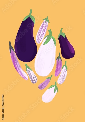 Illustrated different varieties of eggplant