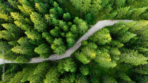 Obraz na płótnie View from above, stunning aerial view of a beautiful mountain forest with a dirt road in the middle. Dolomites, Italy.. w salonie