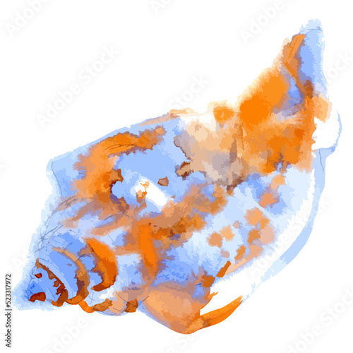 Vector watercolor illustration of colorful seashell