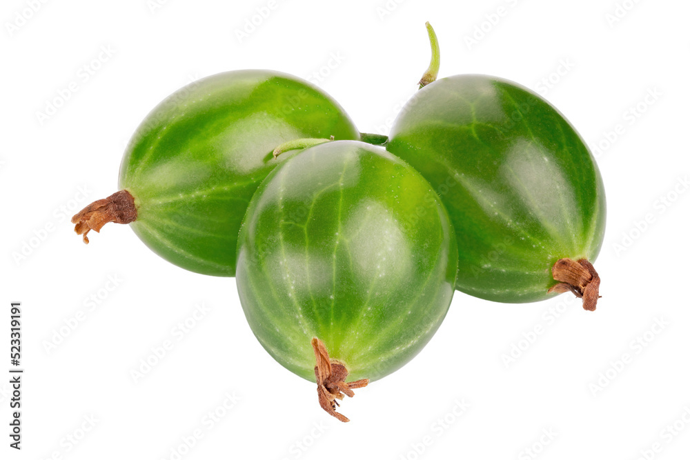 Ripe green gooseberry isolated on white background. Fresh Agrus. Full depth of field.