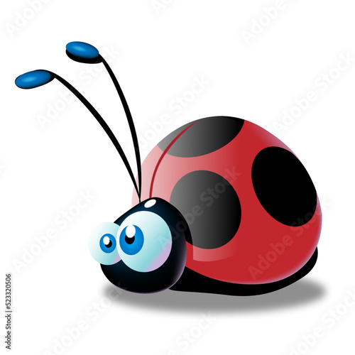 coccinella