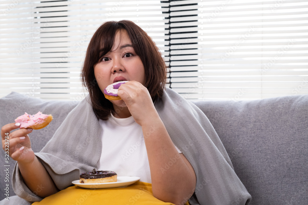 Young Asian oversize women gain weight while eating donut, bread and snack and watching television on sofa couch. Junk food that can cause obesity and unhealthy for human body. Young Asian oversize women gain weight while eating donut, bread and snack and watching television on sofa couch. Junk food that can cause obesity and unhealthy for human body.