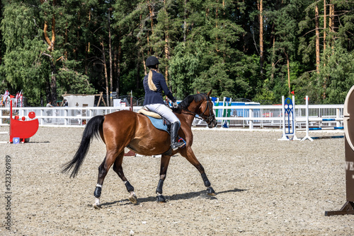 beautiful and different horses in working moments at the equestrian festival in summer © константин константи