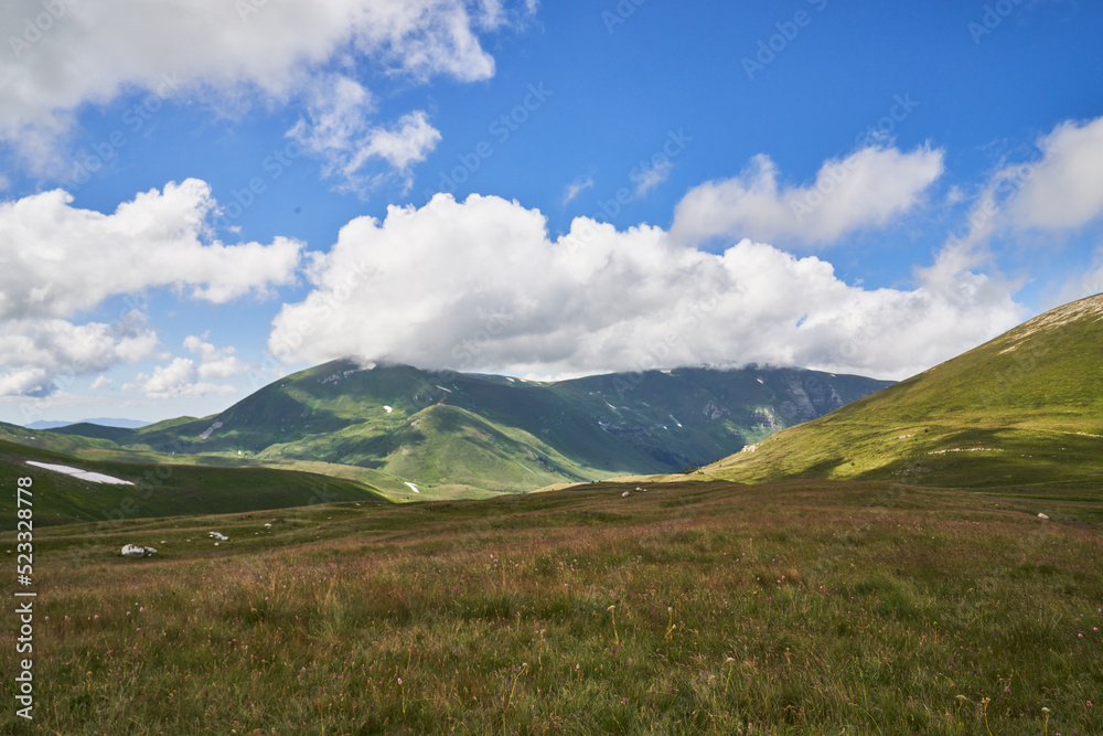 alpine meadows with flowers in the mountains with clouds on a sunny day