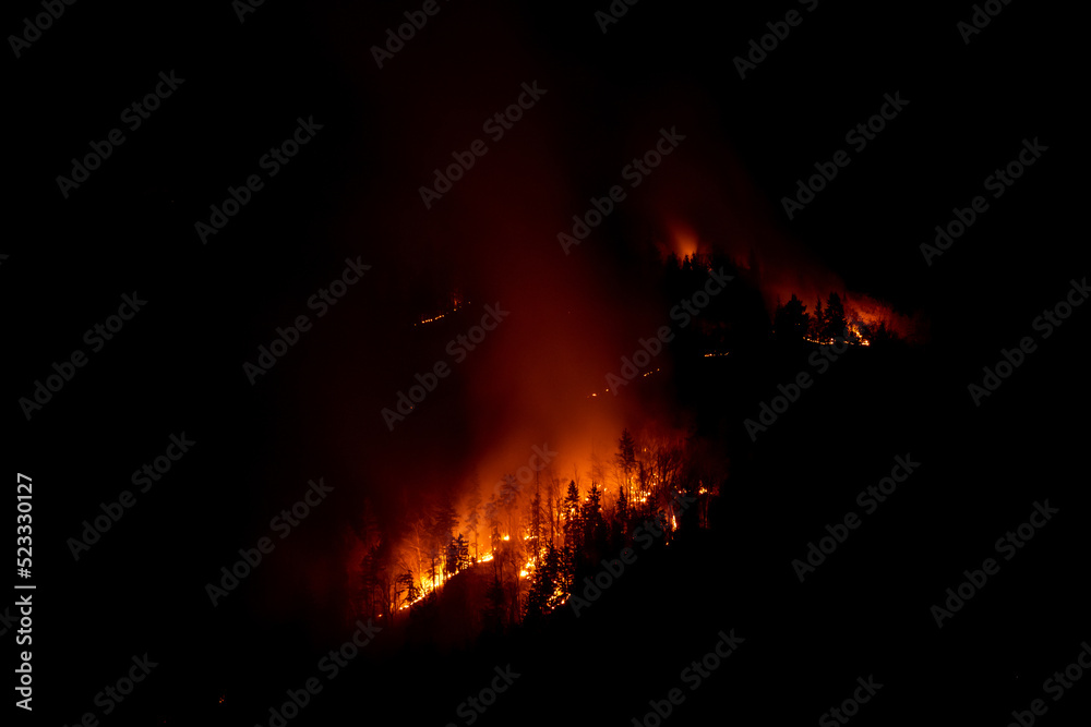 Forest wildfire at night a natural disaster