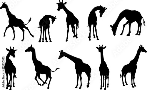 A giraffe animal silhouette set 