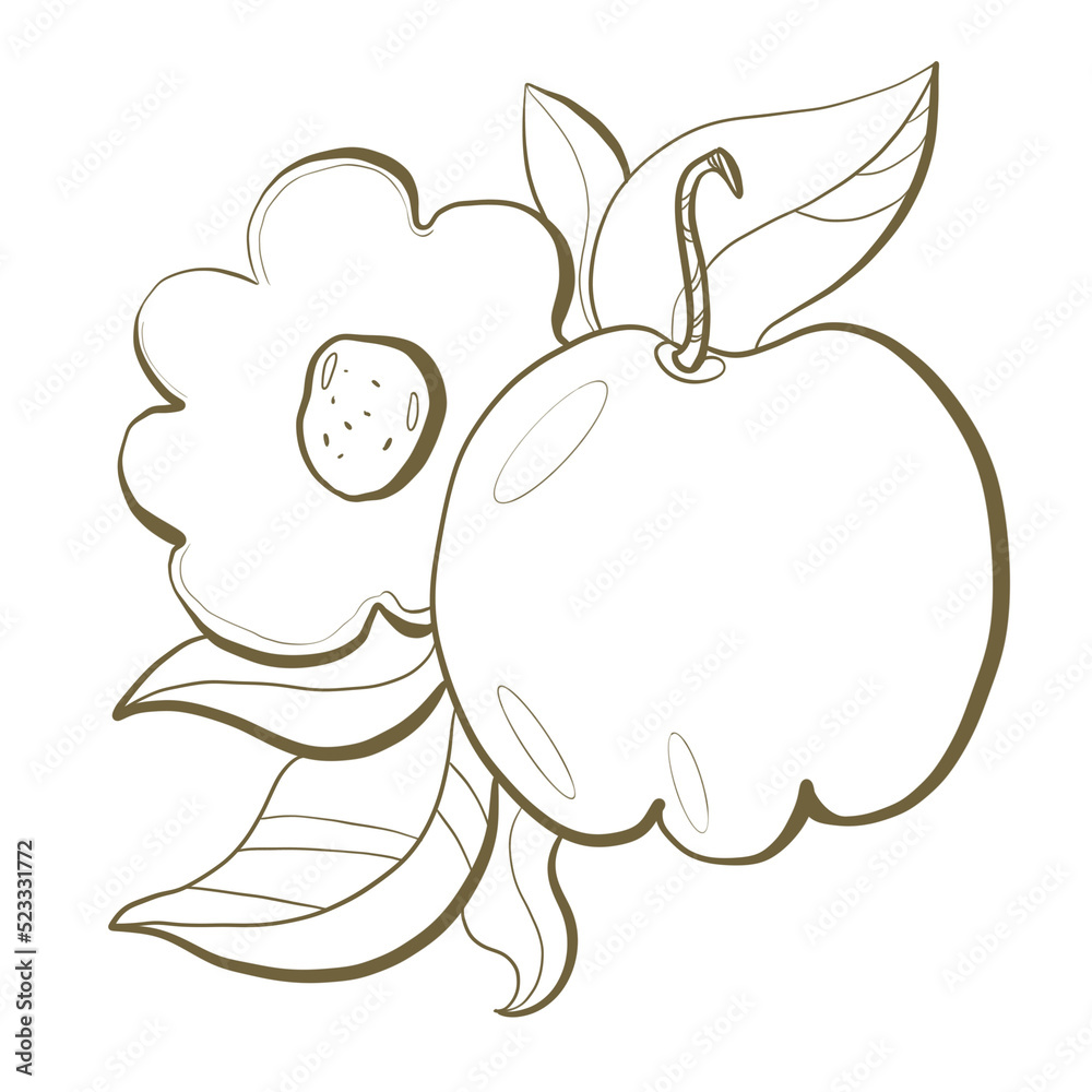 illustration botanical doodle line plant bardabos cherry or acerola closeup berries with leaves