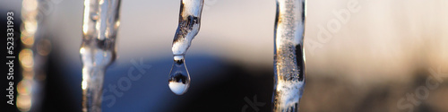 Slika na platnu Icicles in the rays of a winter sunset close up